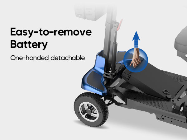 Freewink daily mobility scene